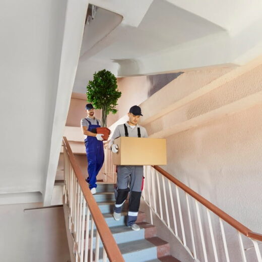Matériel de déménagement professionnel